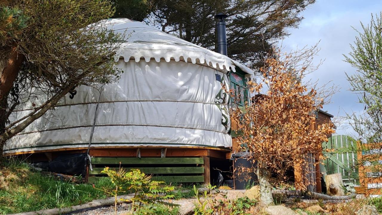 The Tall Pines Yurt Helmsdale Exterior foto